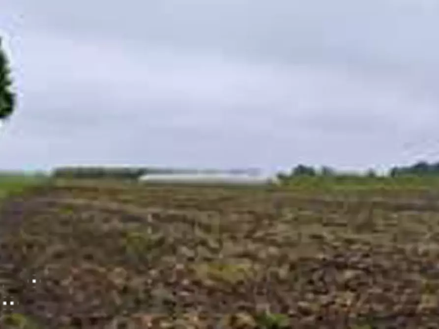Immagine 12 di Terreno agricolo in vendita  in Via Alberello a Argenta