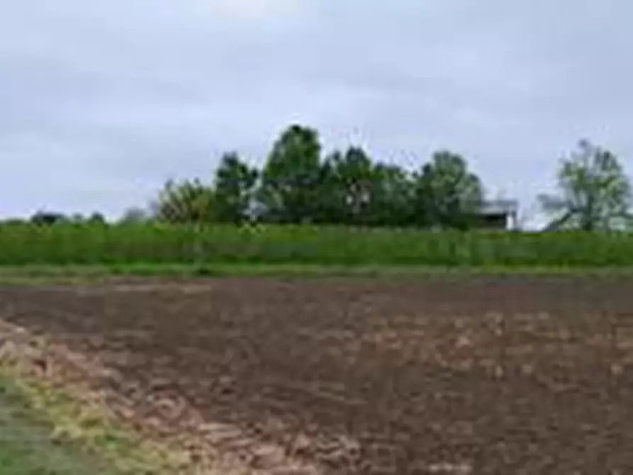Immagine 18 di Terreno agricolo in vendita  in Via Alberello a Argenta