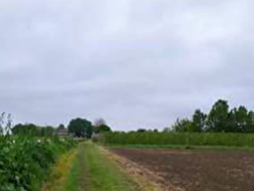 Immagine 20 di Terreno agricolo in vendita  in Via Alberello a Argenta