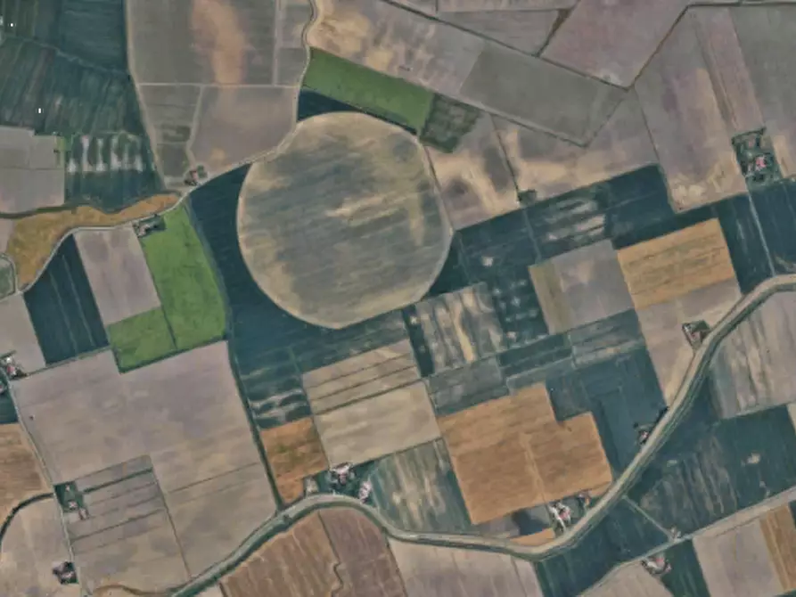 Immagine 21 di Terreno agricolo in vendita  in Via Alberello a Argenta