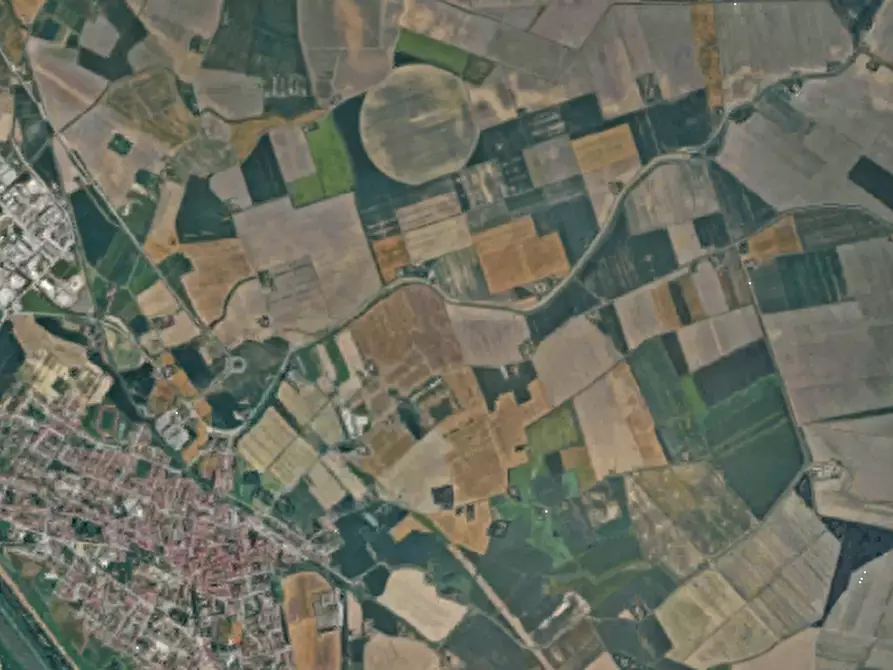 Immagine 22 di Terreno agricolo in vendita  in Via Alberello a Argenta