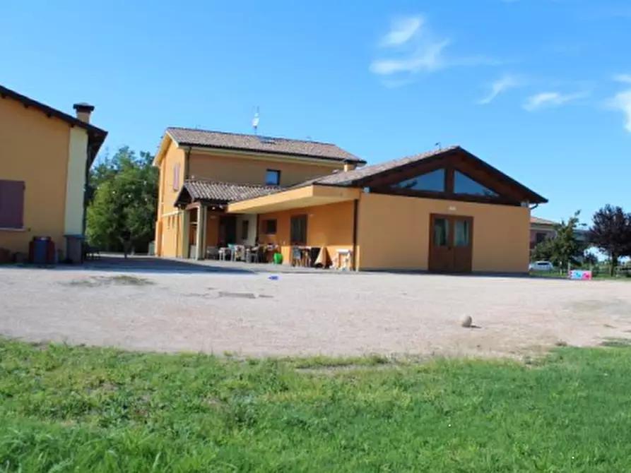 Immagine 13 di Azienda agricola in vendita  in Via Vigo Ruffio a Cesena