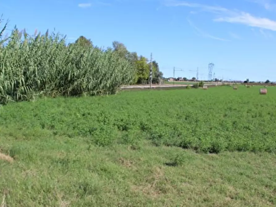 Immagine 21 di Azienda agricola in vendita  in Via Vigo Ruffio a Cesena