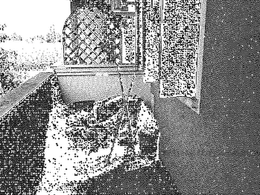 Immagine 5 di Appartamento in vendita  in Strada di Vistorta a Cordignano