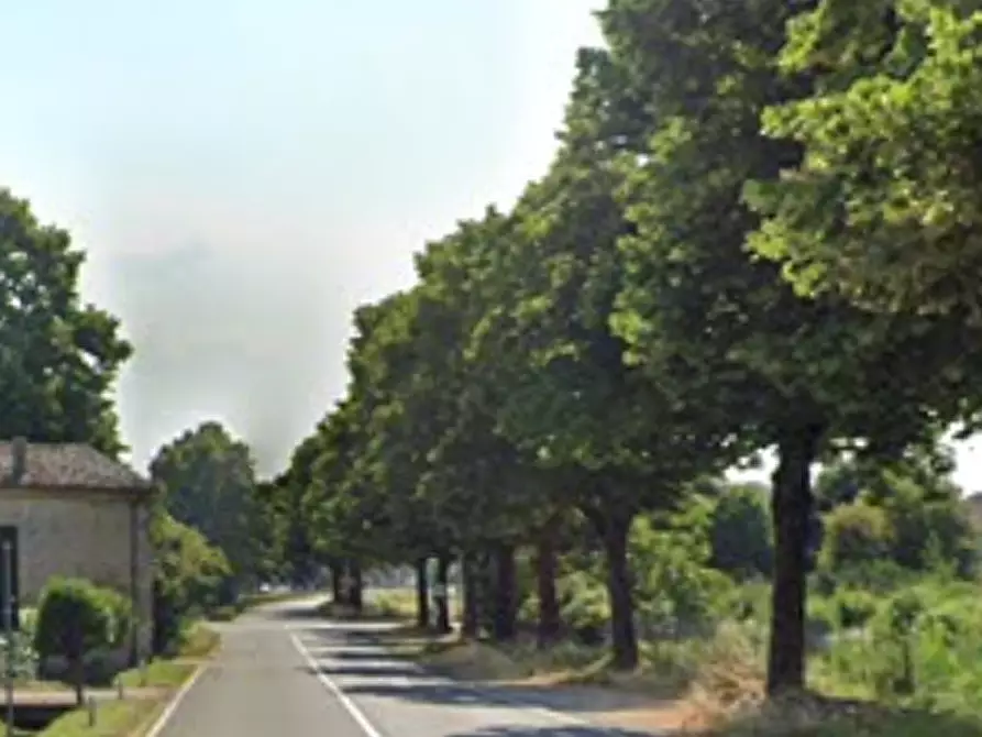 Immagine 16 di Appartamento in vendita  in Via Granelli a Monticelli D'ongina