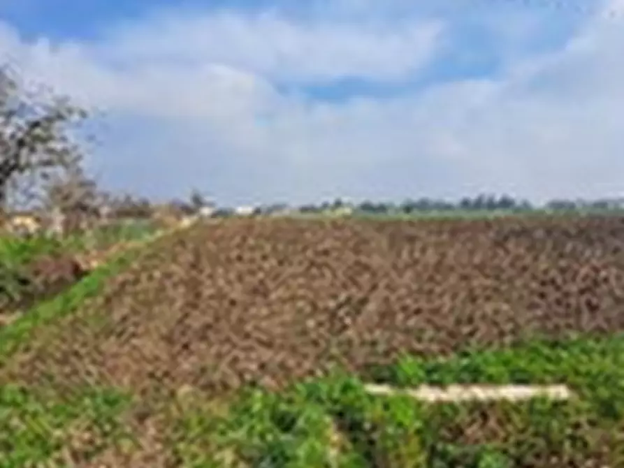 Immagine 1 di Terreno agricolo in vendita  in Via Bachelet a Brugine
