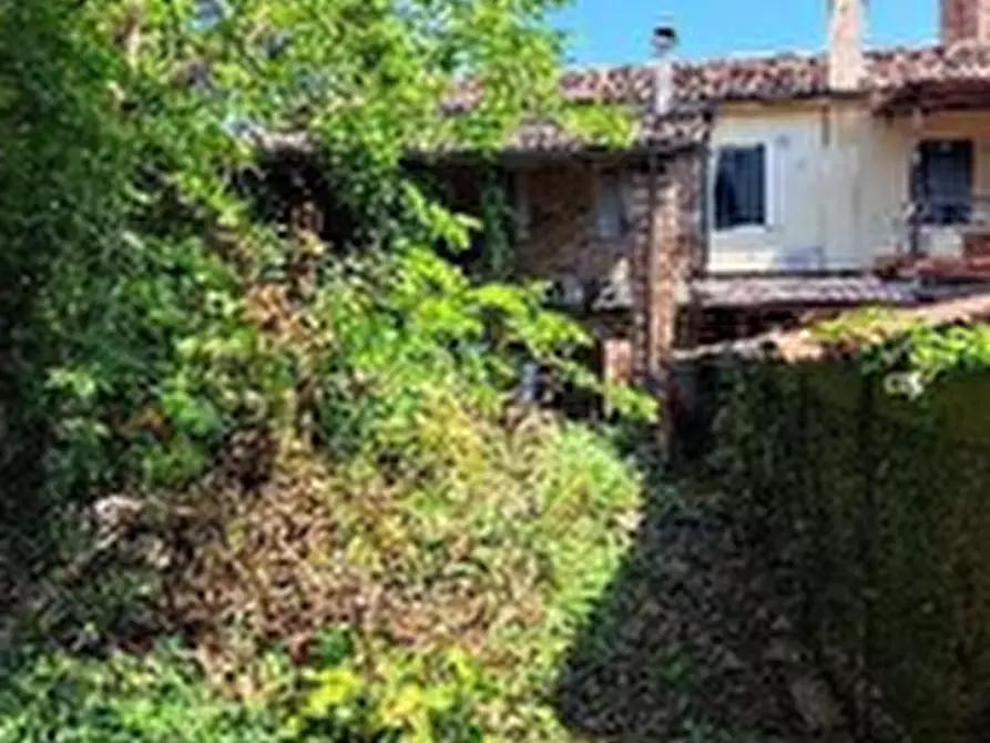 Immagine 1 di Terreno agricolo in vendita  in Via Chiesa a Montagnana