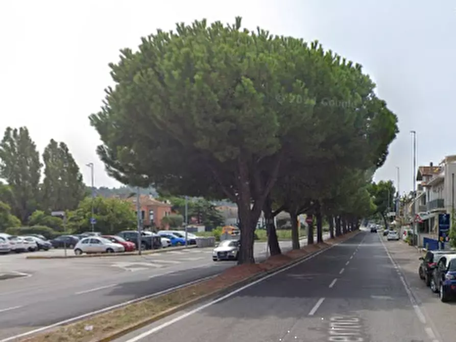 Immagine 6 di Appartamento in vendita  in Via Solferino  a Pesaro