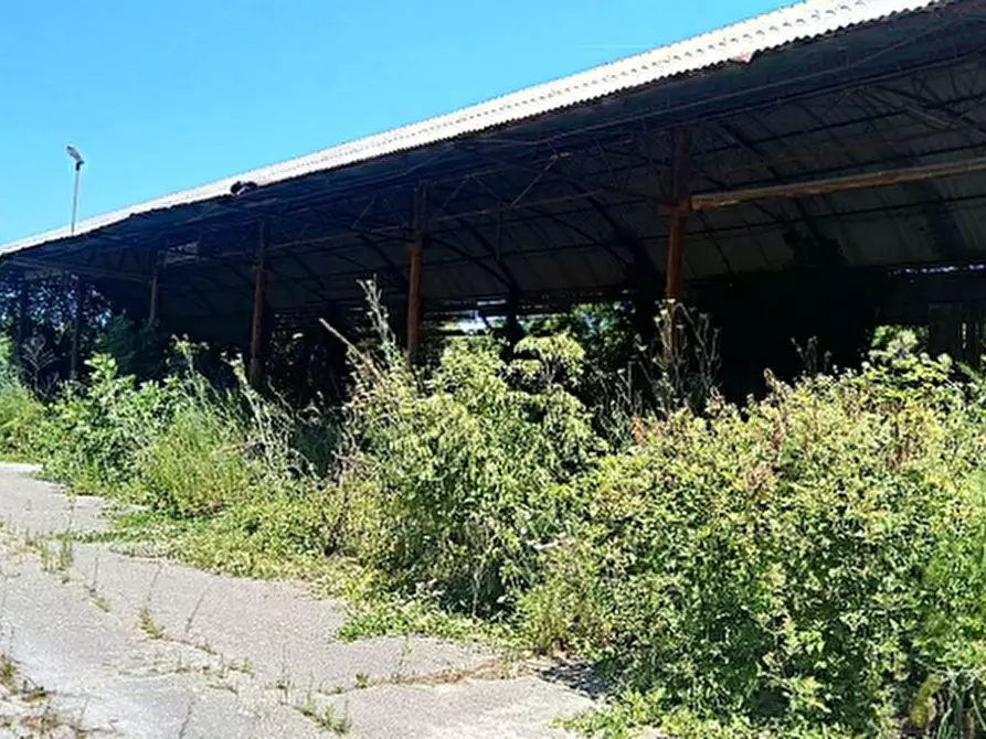 Immagine 5 di Terreno edificabile in vendita  in Strada Fornace  a Pesaro