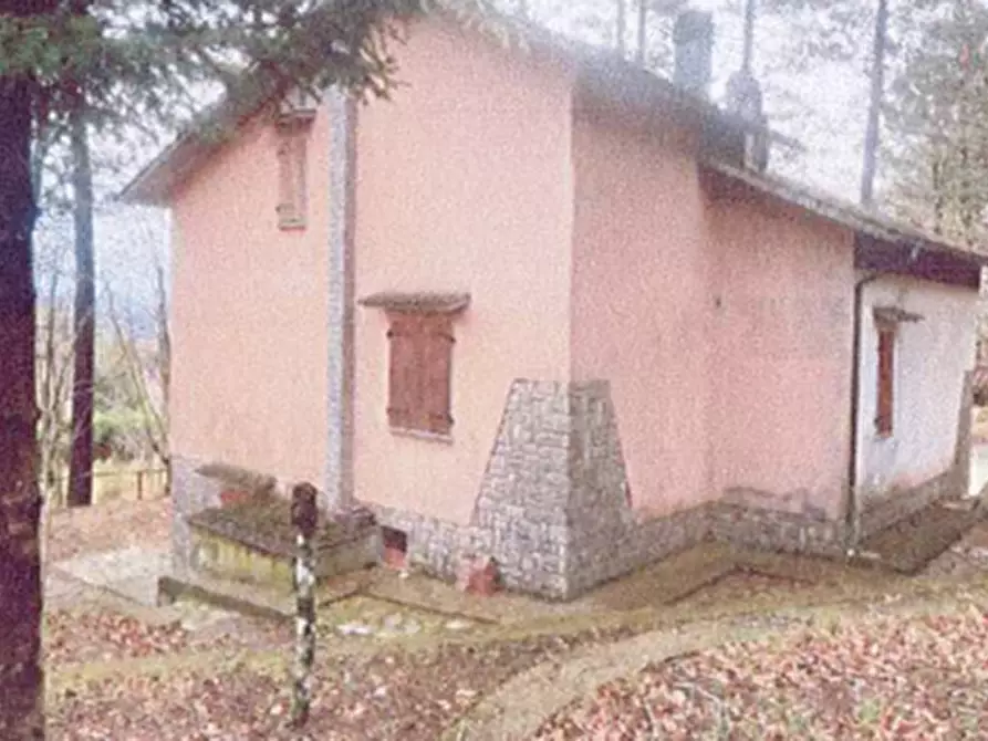 Immagine 1 di Villa in vendita  in Via della Vetta a Santa Fiora