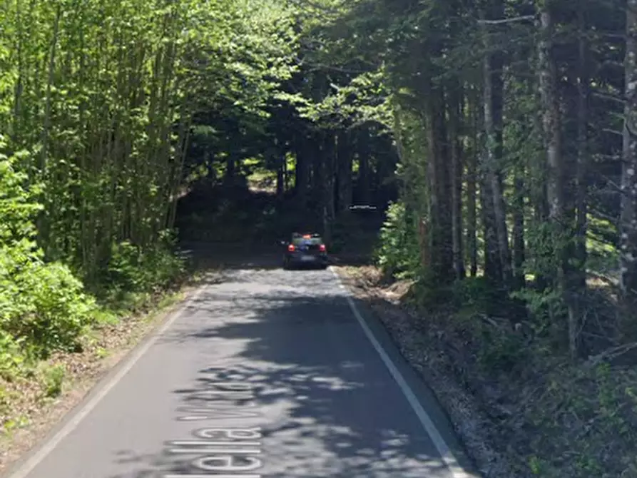 Immagine 10 di Villa in vendita  in Via della Vetta a Santa Fiora