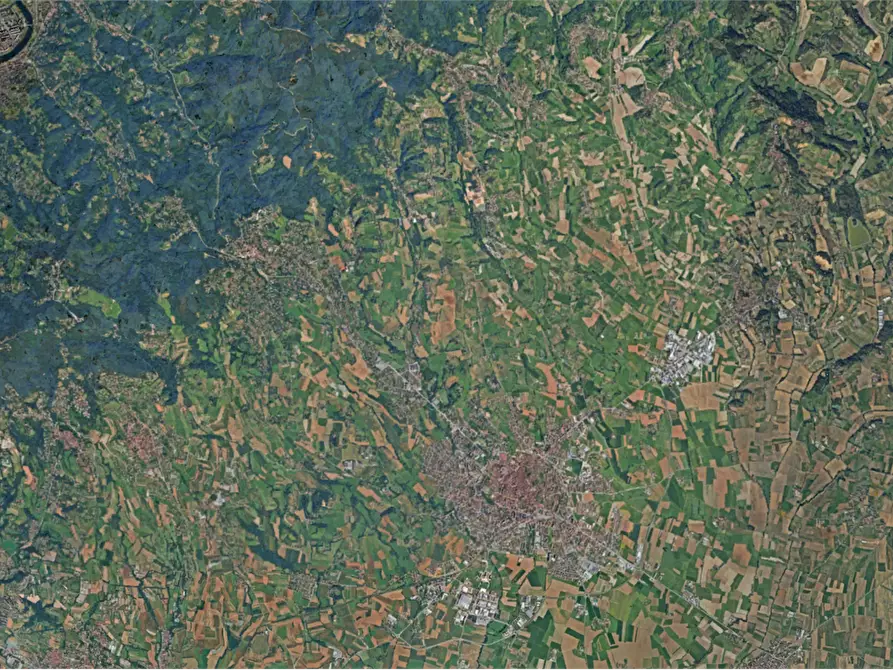 Immagine 5 di Villa in vendita  in Via dell'Olmo a Pino Torinese