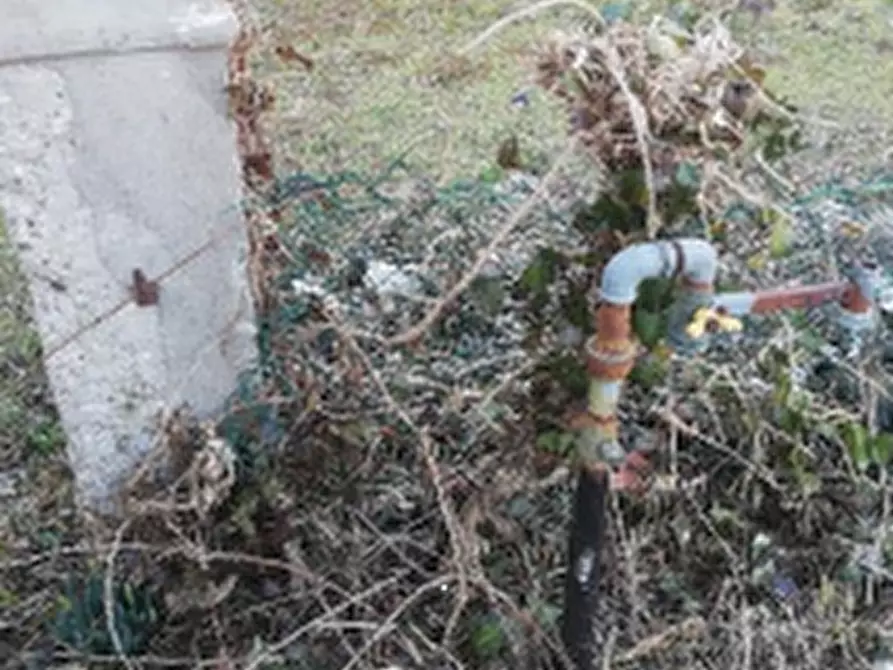 Immagine 9 di Rustico / casale in vendita  in Via Bigolo a Scorzè