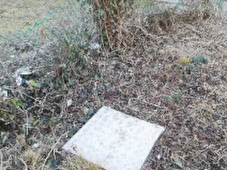 Immagine 10 di Rustico / casale in vendita  in Via Bigolo a Scorzè