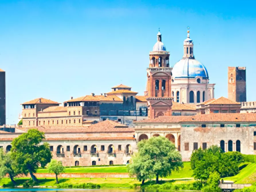 Immagine 36 di Appartamento in affitto  in Via Giulio Romano a Mantova