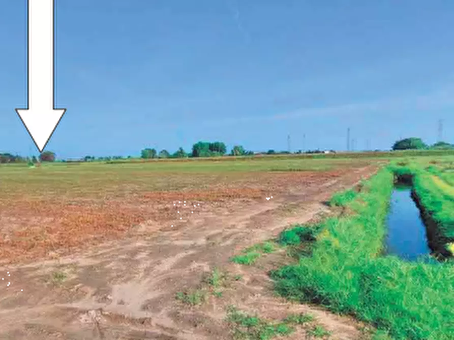 Immagine 4 di Terreno edificabile in vendita  in Via San Giuseppe a Chioggia
