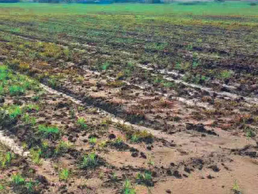 Immagine 6 di Terreno edificabile in vendita  in Via San Giuseppe a Chioggia