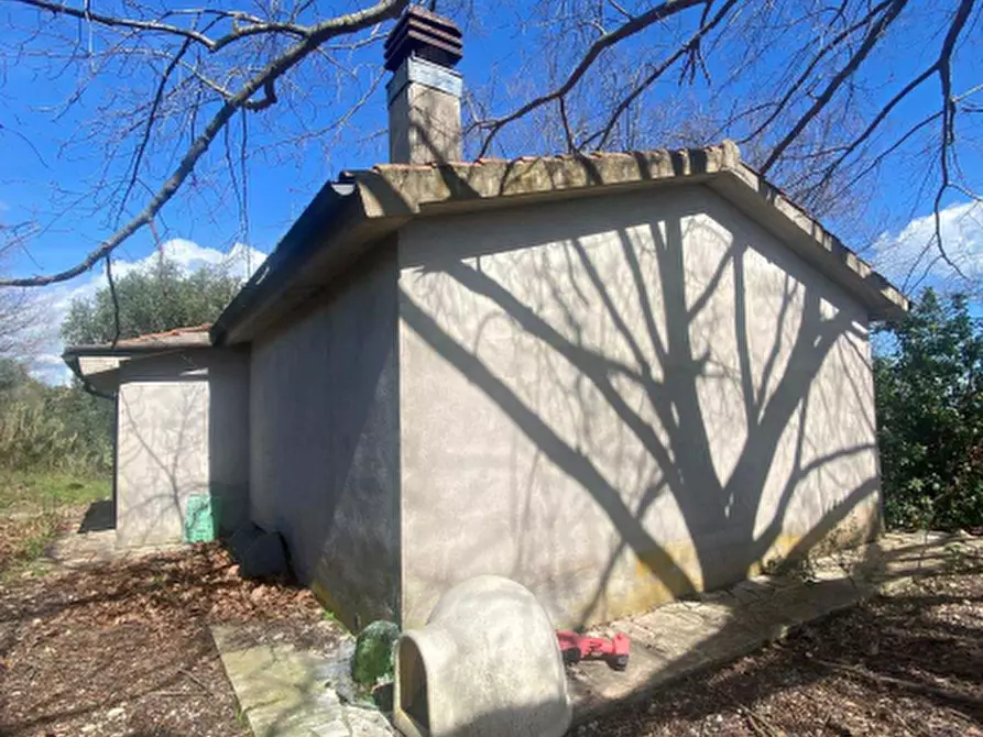 Immagine 1 di Casa indipendente in vendita  in Località VIII Piano a Manciano