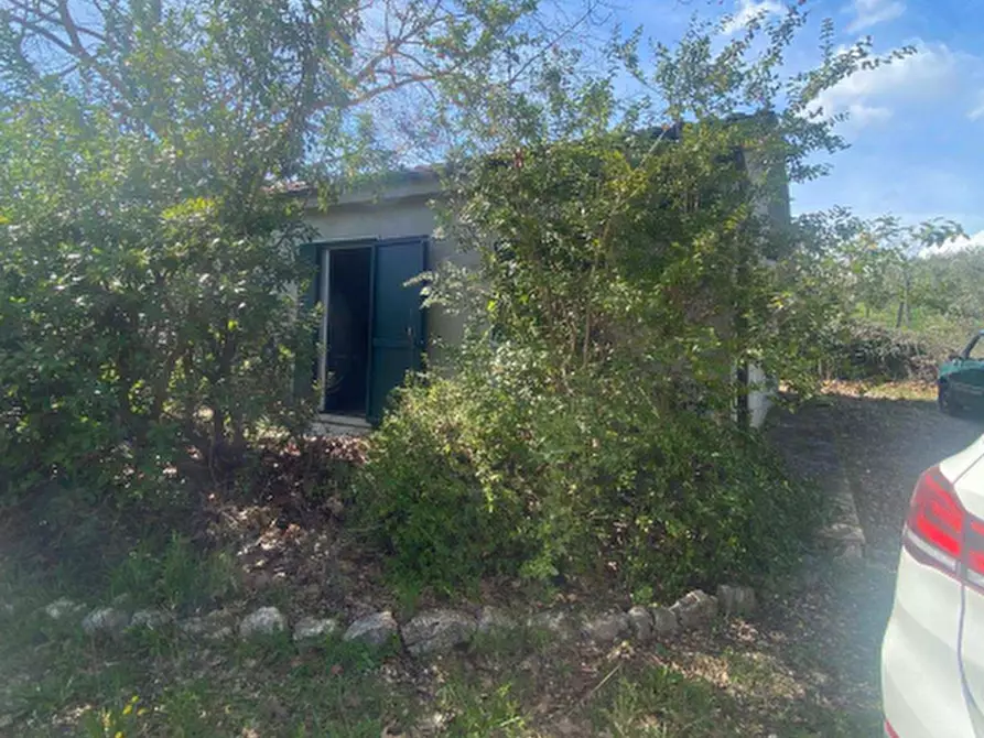 Immagine 2 di Casa indipendente in vendita  in Località VIII Piano a Manciano