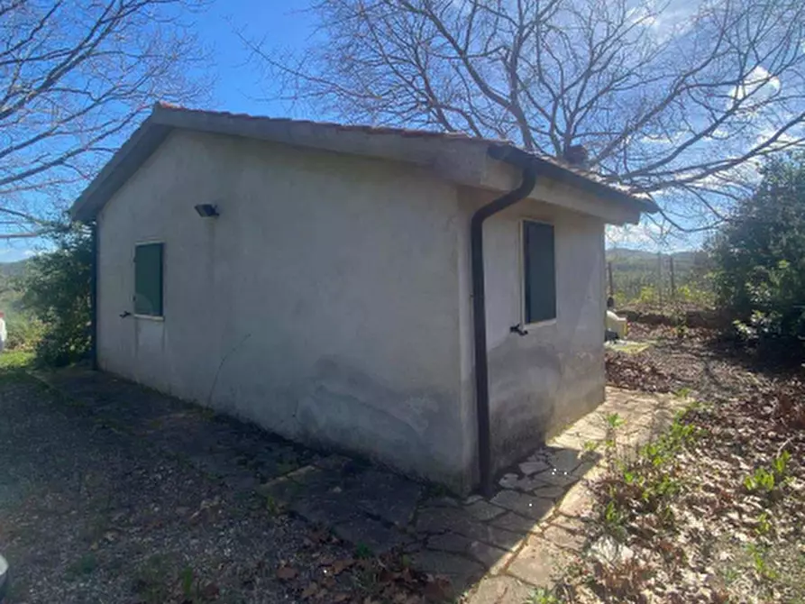 Immagine 3 di Casa indipendente in vendita  in Località VIII Piano a Manciano