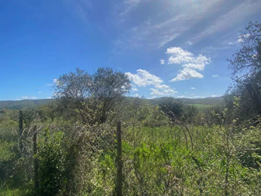 Immagine 5 di Casa indipendente in vendita  in Località VIII Piano a Manciano