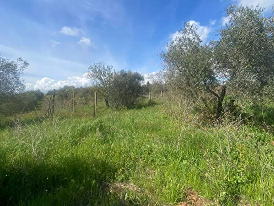 Immagine 6 di Casa indipendente in vendita  in Località VIII Piano a Manciano