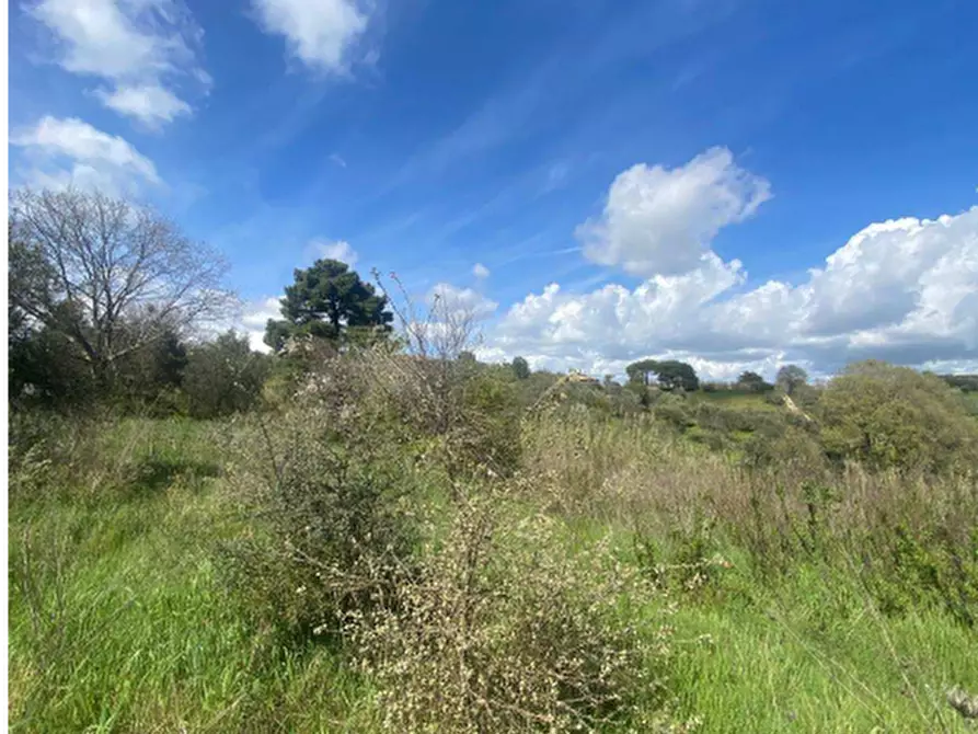 Immagine 8 di Casa indipendente in vendita  in Località VIII Piano a Manciano