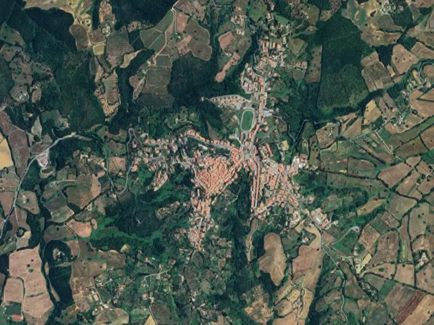 Immagine 11 di Casa indipendente in vendita  in Località VIII Piano a Manciano