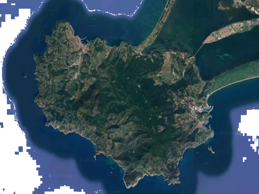 Immagine 9 di Villa in vendita  in via del Calvello a Monte Argentario