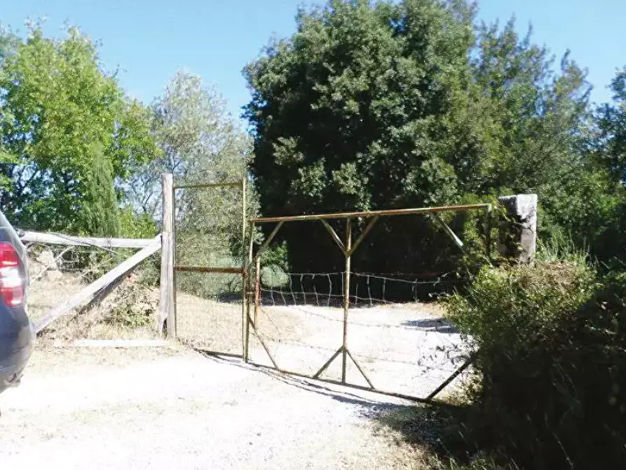 Immagine 2 di Appartamento in vendita  in Località Belvedere a Campagnatico