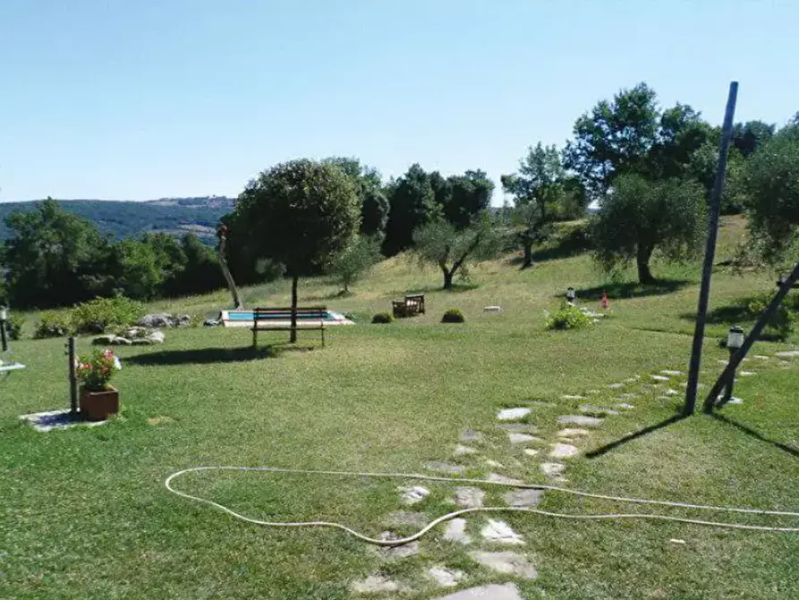 Immagine 4 di Appartamento in vendita  in Località Belvedere a Campagnatico