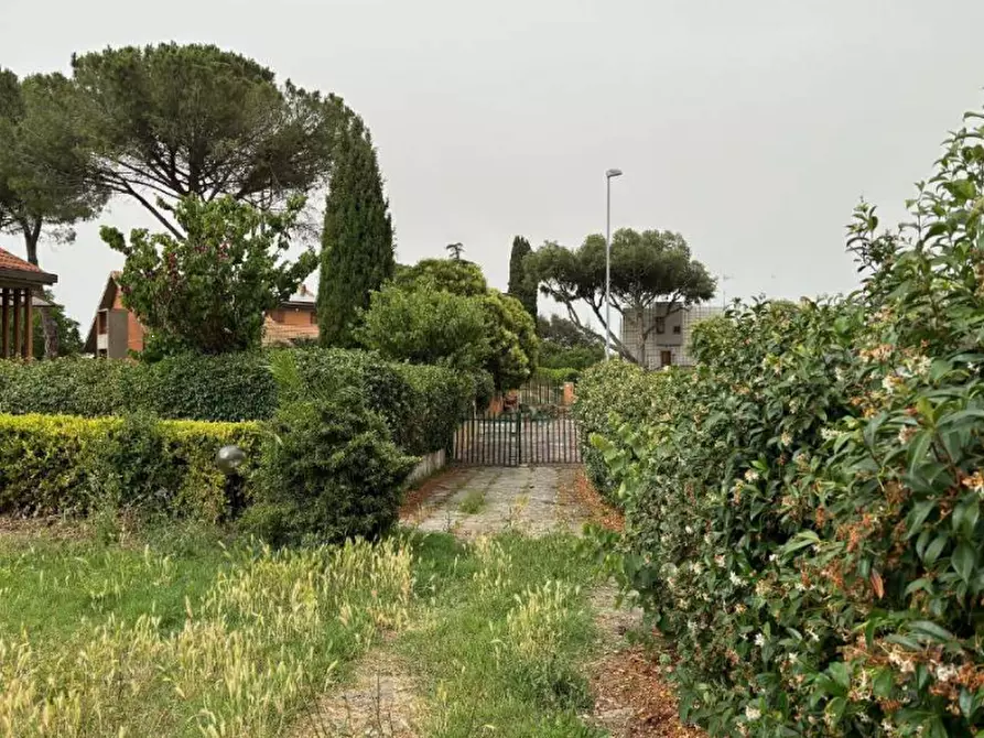 Immagine 3 di Casa indipendente in vendita  in Via Irpinia a Grosseto