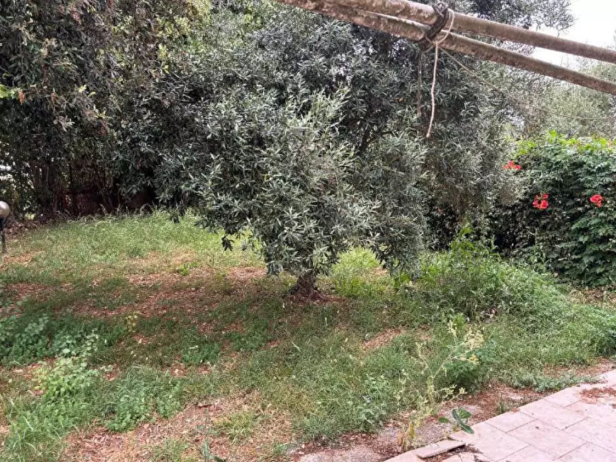 Immagine 15 di Casa indipendente in vendita  in Via Irpinia a Grosseto