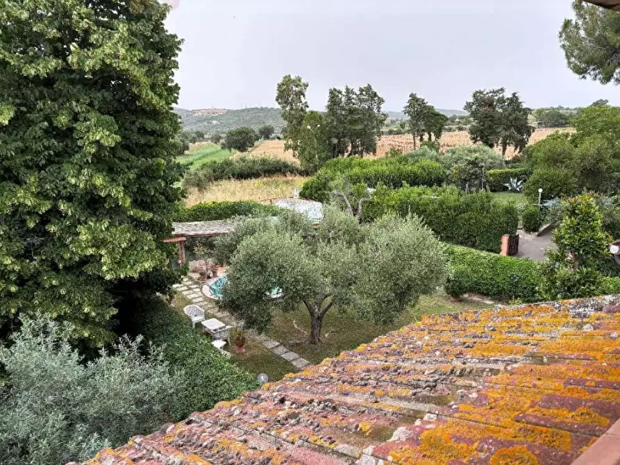 Immagine 19 di Casa indipendente in vendita  in Via Irpinia a Grosseto