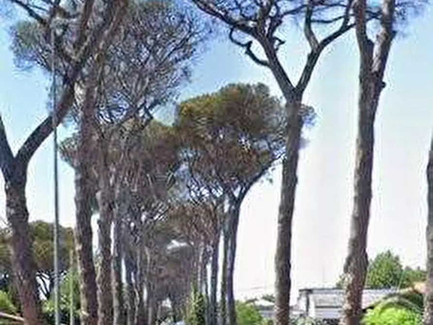 Immagine 5 di Appartamento in vendita  in Viale di Castel Porziano a Roma