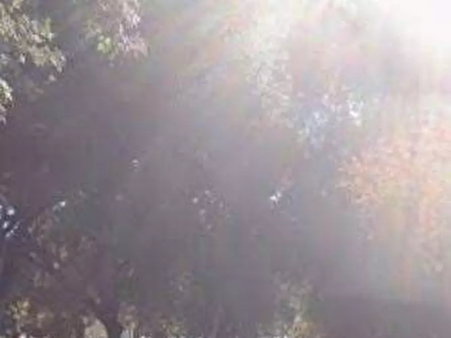 Immagine 3 di Negozio in vendita  in Via Marcello Prestinari a Roma