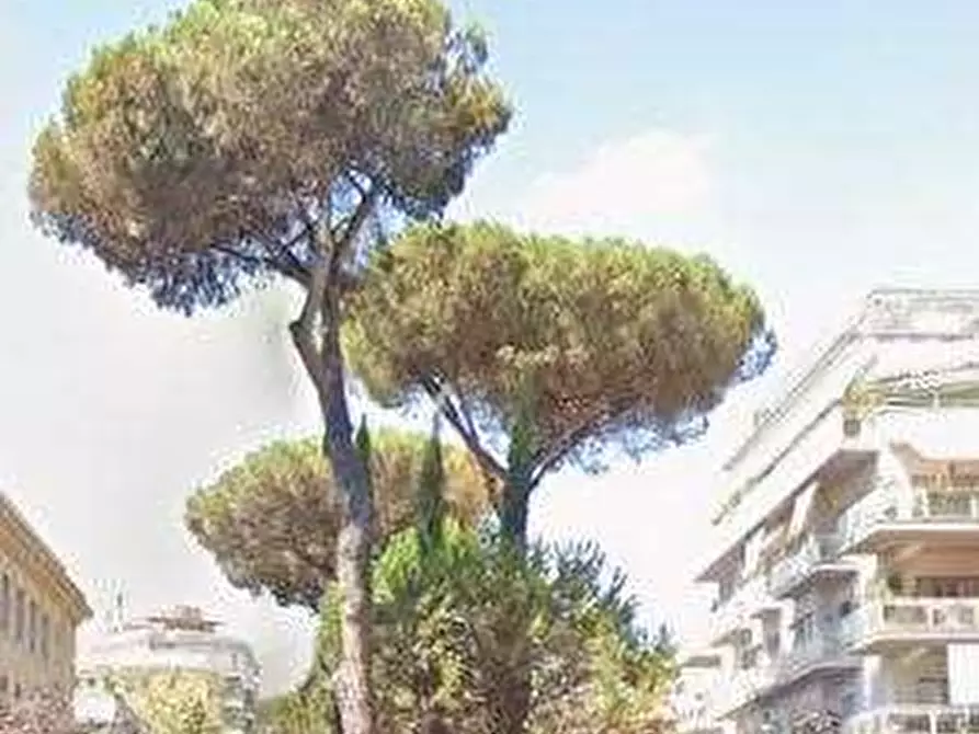 Immagine 5 di Negozio in vendita  in Via Marcello Prestinari a Roma