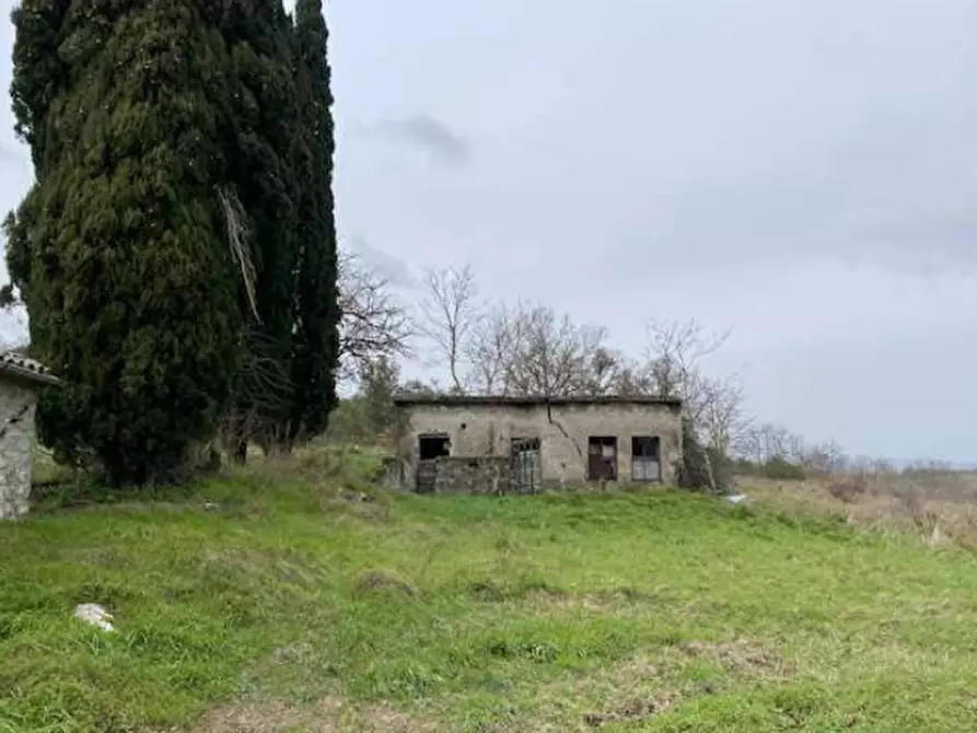 Immagine 2 di Appartamento in vendita  in Via Selvena a Castell'azzara