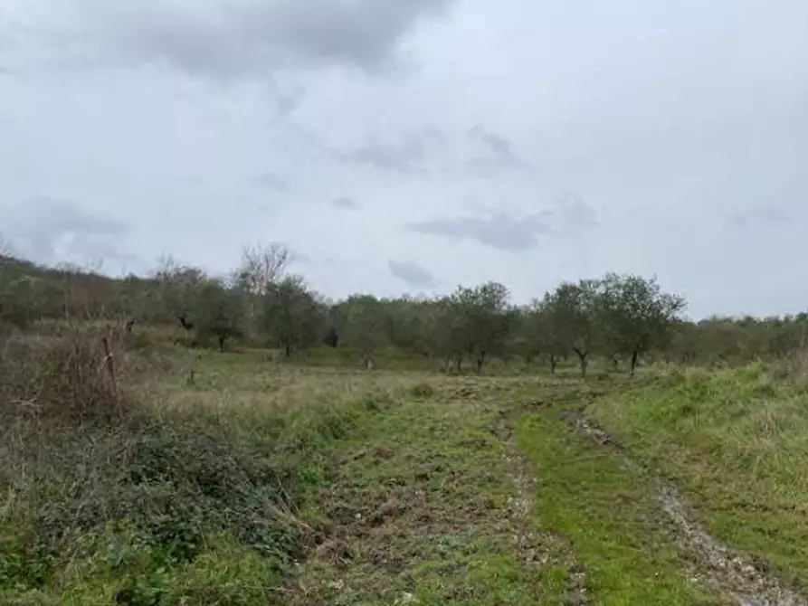 Immagine 3 di Appartamento in vendita  in Via Selvena a Castell'azzara