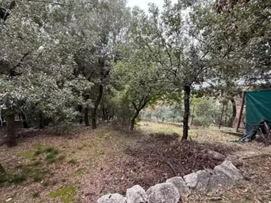 Immagine 6 di Casa indipendente in vendita  in Via Edmondo de Amicis a Corciano