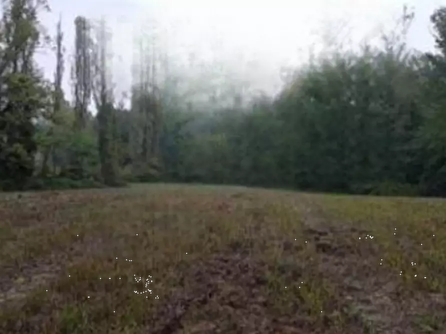 Immagine 1 di Terreno agricolo in vendita  in Via Cannelle a Saludecio