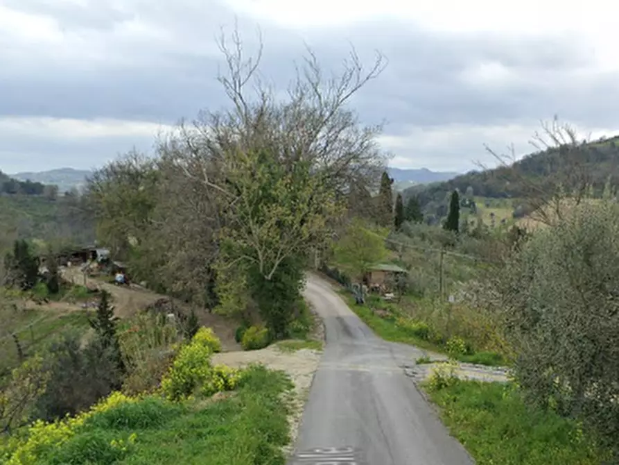 Immagine 4 di Terreno agricolo in vendita  in Via Cannelle a Saludecio