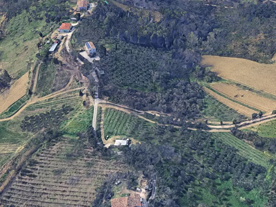 Immagine 5 di Terreno agricolo in vendita  in Via Cannelle a Saludecio