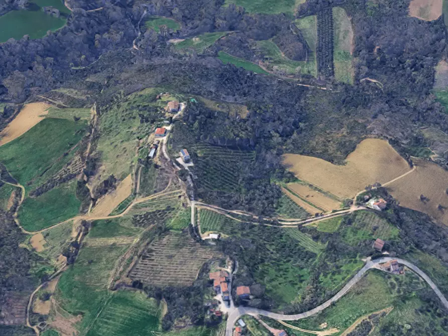 Immagine 7 di Terreno agricolo in vendita  in Via Cannelle a Saludecio