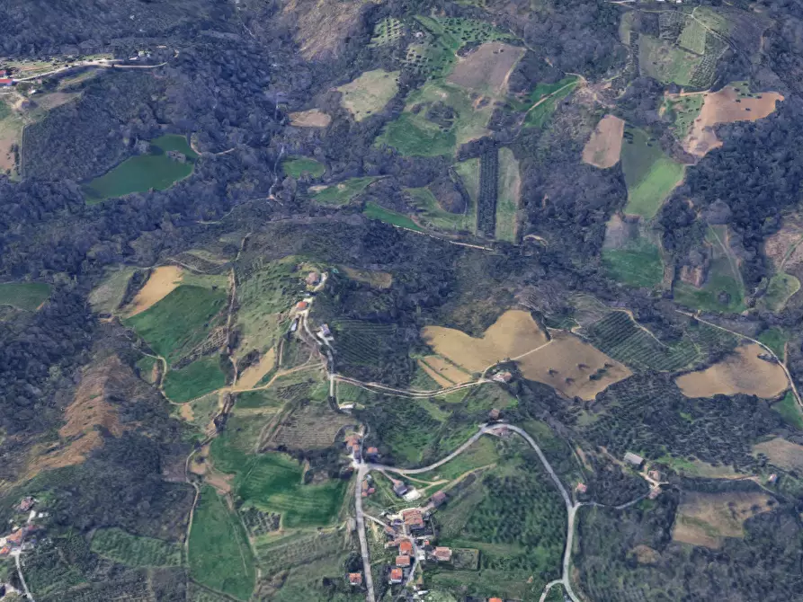 Immagine 9 di Terreno agricolo in vendita  in Via Cannelle a Saludecio