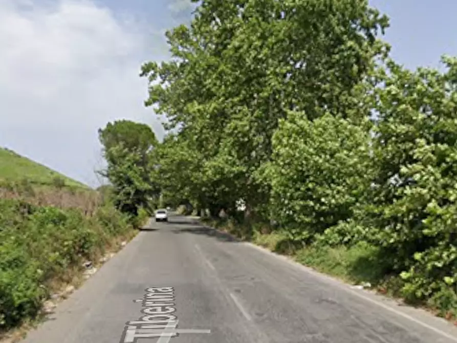 Immagine 6 di Terreno agricolo in vendita  in Via Tiberina a Roma