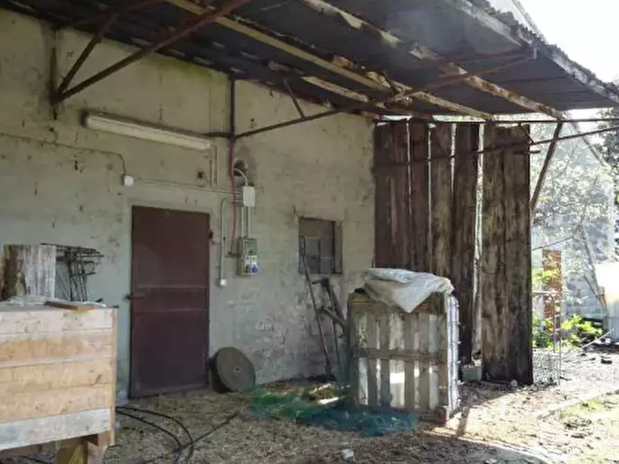 Immagine 6 di Rustico / casale in vendita  in Via Verdi  a Polesine Zibello