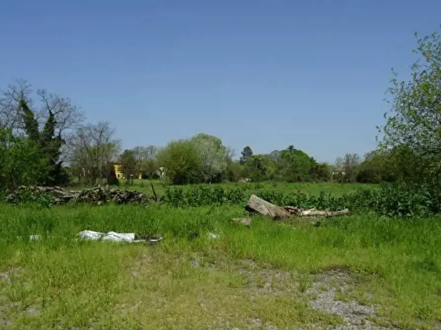 Immagine 11 di Rustico / casale in vendita  in Via Verdi  a Polesine Zibello