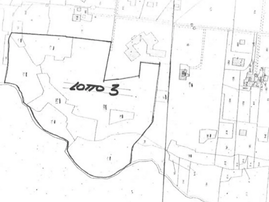 Immagine 6 di Terreno agricolo in vendita  in Via di Colle Zioni  a Velletri