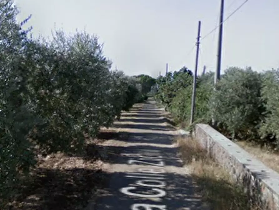 Immagine 18 di Porzione di casa in vendita  in Via di Colle Zioni  a Velletri